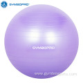 Body Pvc Yoga Ball Exercise Balls Customs Logo